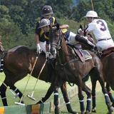Photoscience - Polo and Wedding photographers in Hampshire Surrey and Sussex
